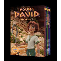 Young David Series Box Set – Carol Langley